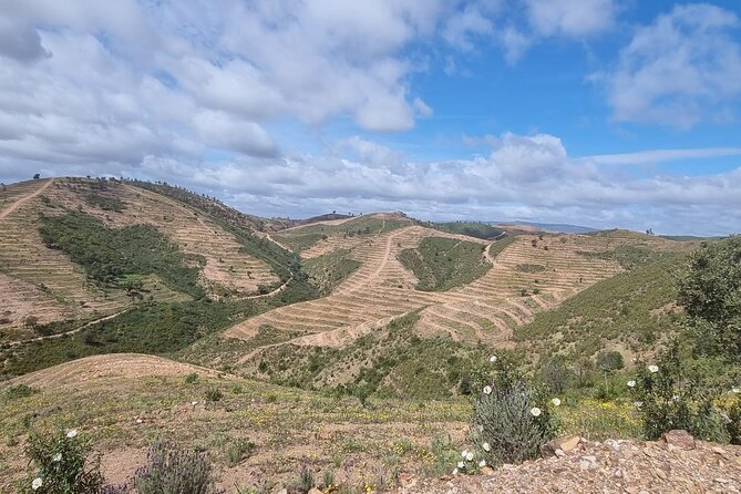 Half Day Getaway Buggy Tour - Explore Silves Castle
