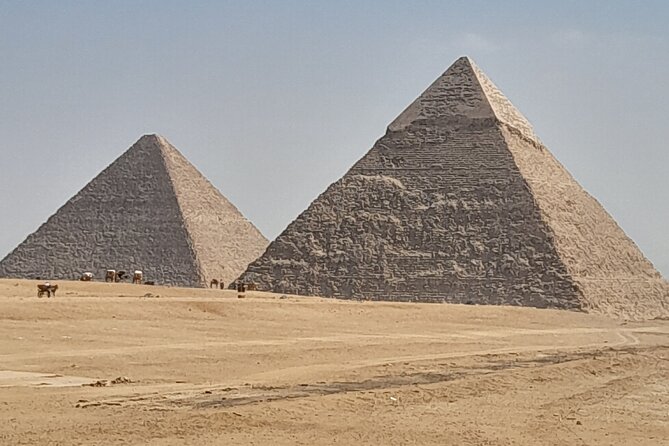 Half Day Giza Pyramids and Sphinx Tour With an Egyptologist - Booking Information