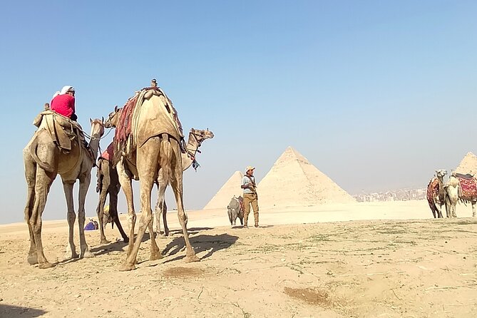 Half Day Giza Pyramids and Sphinx Tour With an Egyptologist - Discovering the Sphinx