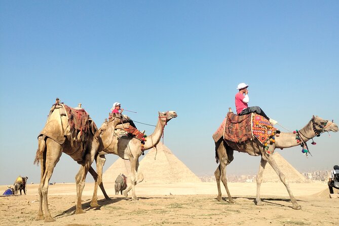 Half Day Giza Pyramids and Sphinx Tour With an Egyptologist - Key Highlights of the Tour