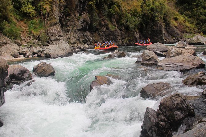 Half Day, Grade 5, White Water Rafting on the Rangitikei River - Unique River Views