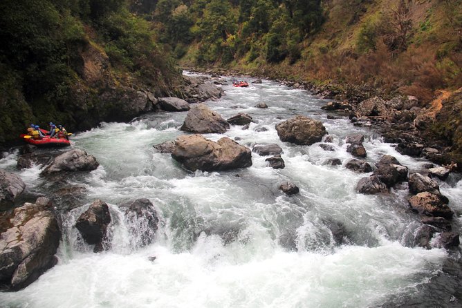 Half Day, Grade 5, White Water Rafting on the Rangitikei River - Ratings and Reviews