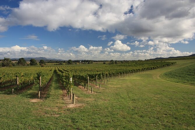 Half-Day Gramma Wine Tasting Tour in Iasi - Reviews