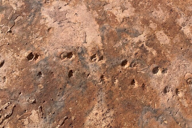 Half-day Grand Canyon Christian Hiking Tour on South Kaibab Trail - Tour Requirements