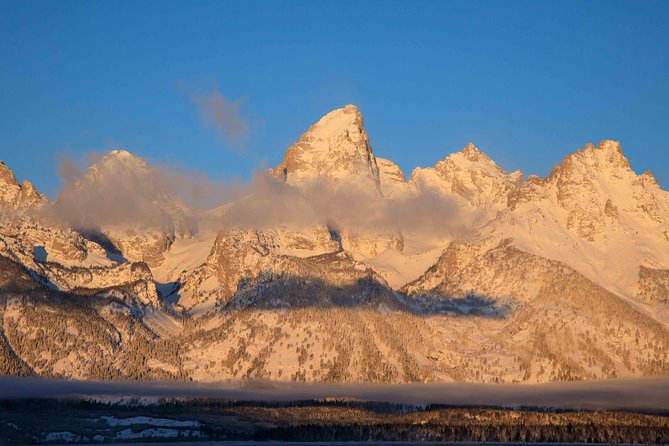 Half-Day Grand Teton Wildlife Private Safari Tour - Wildlife Sightings