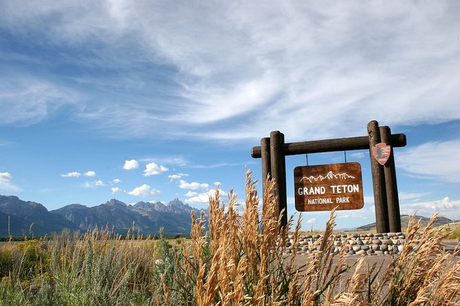 Half-Day Grand Teton Wildlife Safari Private Tour - Scheduling and Pricing