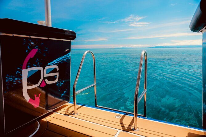 Half Day Great Barrier Reef Snorkeling Tour - Key Points