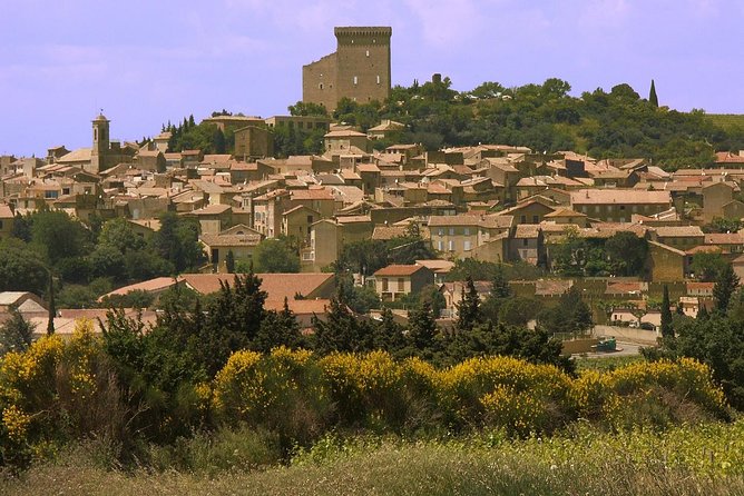 Half Day Great Vineyard Tour From Avignon - Guided Learning