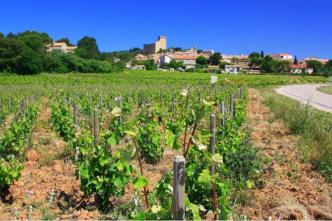 Half Day Great Vineyard Tour From Avignon - Tour Availability and Booking