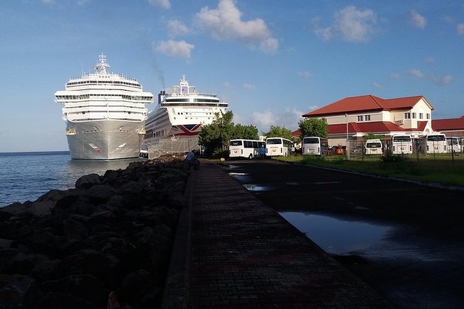 Half-Day Grenada Island Small-Group Sightseeing Tour - Meeting and Logistics