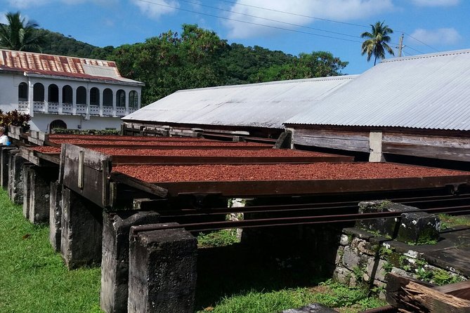 Half-Day Grenada Island Small-Group Sightseeing Tour - Addressing Issues
