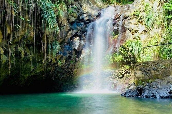 Half-Day Grenada River Tubing -Grand Etang & Annandale Falls - The Experience: Why It Works