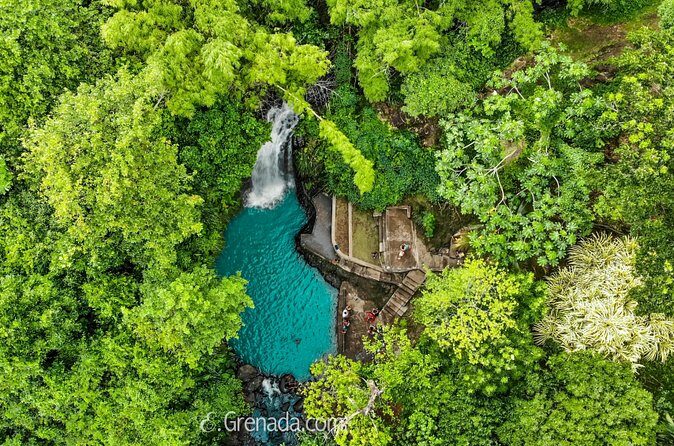 Half-Day Grenada River Tubing -Grand Etang & Annandale Falls - Feedback from Travelers