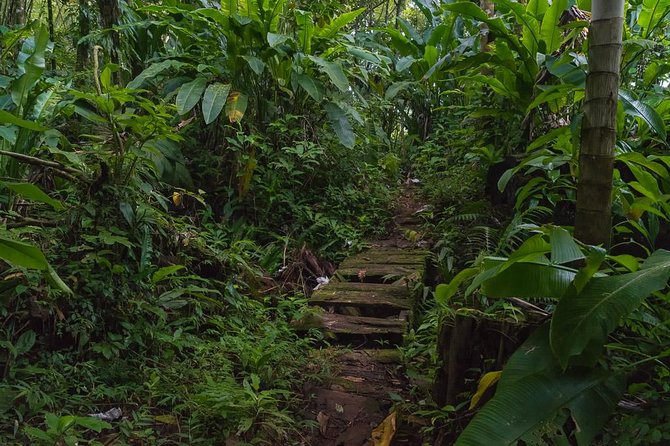 Half Day Grenada Sunshine Highlights Tour - Inclusions and Exclusions