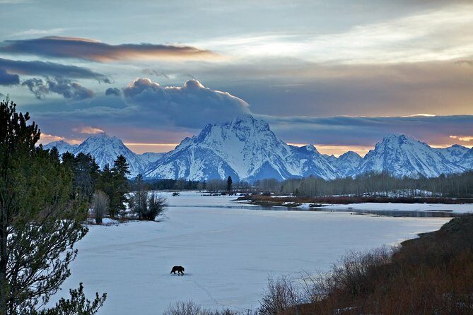 Half Day Group Sunrise Wildlife Safari - An In-Depth Look at the Tour Itinerary