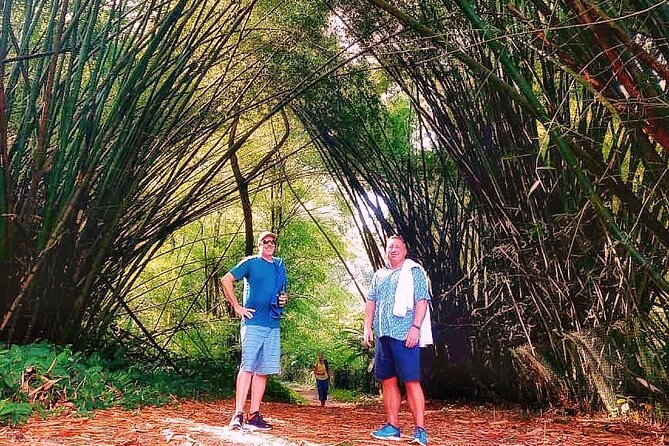 Half Day Group Tour to Tobago Atlantic Coast - Reviews From Travelers