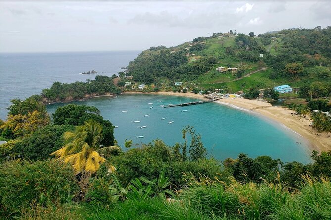 Half-Day Group Tour to Tobago Caribbean Coast - Confirmation and Accessibility
