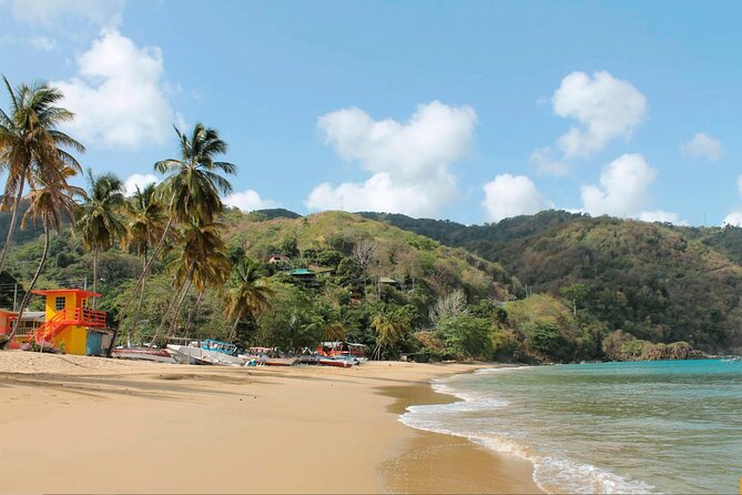 Half-Day Group Tour to Tobago Caribbean Coast - Traveler Suitability