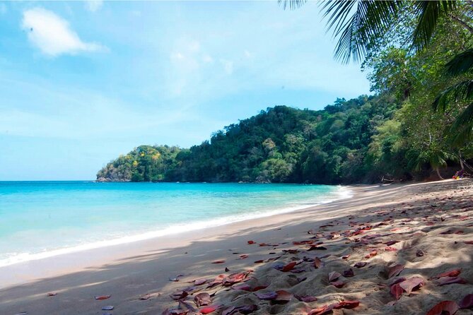 Half-Day Group Tour to Tobago Caribbean Coast - Booking Your Stay