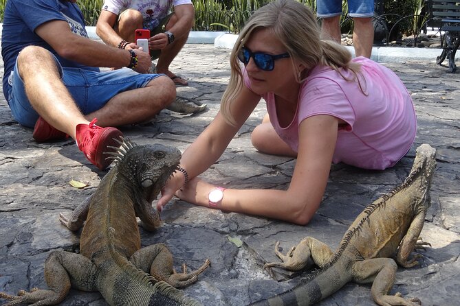 Half Day Guayaquil History Tour and Ecuadorian Cuisine With Cocoa - Parque Historico Guayaquil