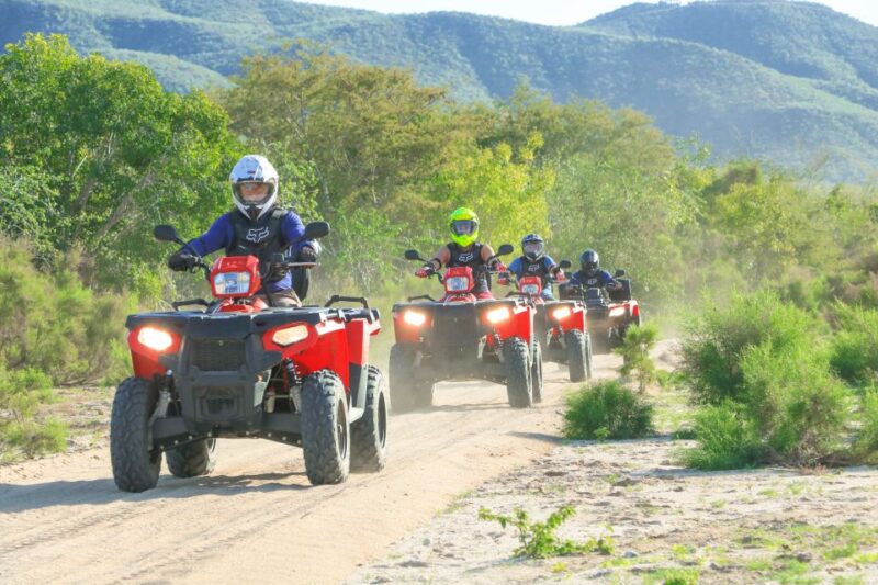 Half-Day Guided ATV Tour at Migriño Area - Activity Highlights