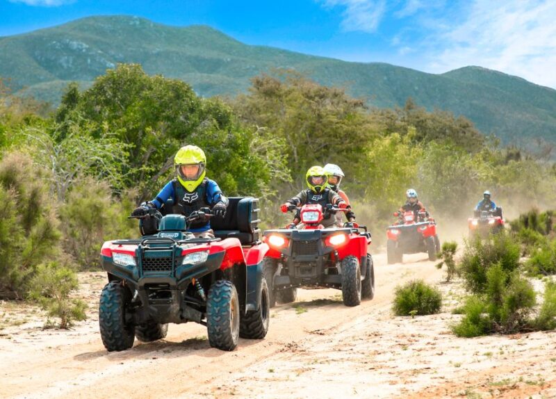 Half-Day Guided ATV Tour at Migriño Area - Important Details
