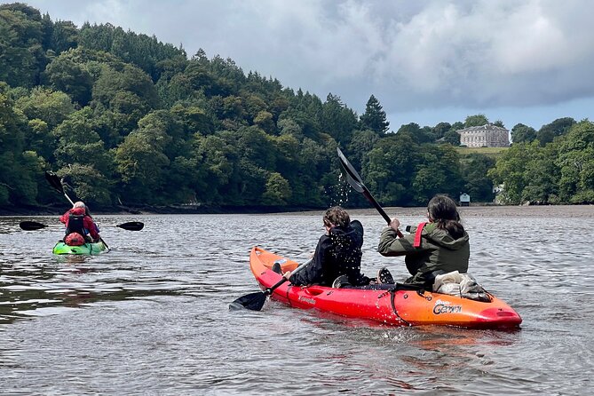 Half Day Guided Canoe Trip in Totnes - Booking and Cancellation