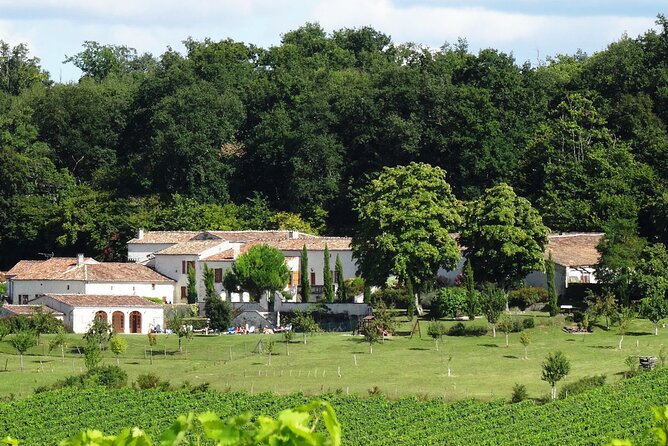 Half-day Guided E-Bike Ride to Discover The Cognac Vineyard - Included in the Tour