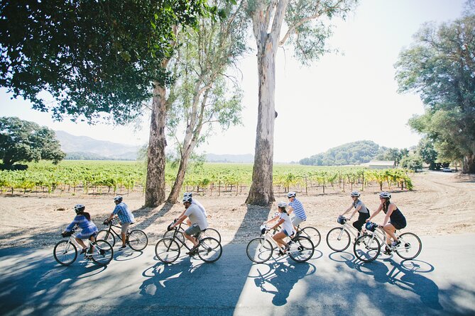 Half Day Guided E-Bike Tour in Napa Valley Winery With Picnic - Wine Tasting Experiences