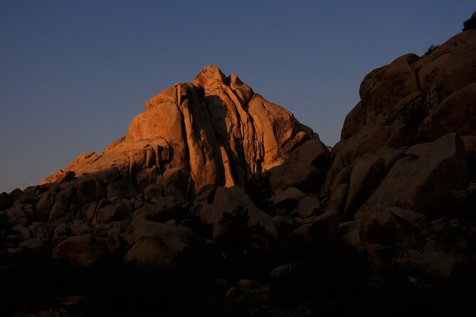 Half-Day Guided Hike in Joshua Tree National Park - Convenient Meeting Point Near Visitor Center