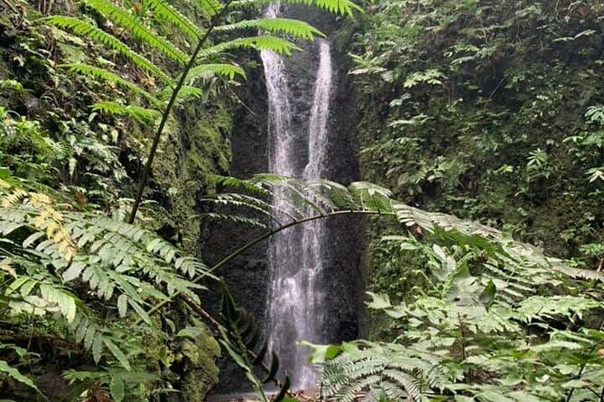 Half-Day Guided Hike to Afareaitu Waterfall - Discover the Magic of Moorea’s Afareaitu Waterfall on a Guided Hike
