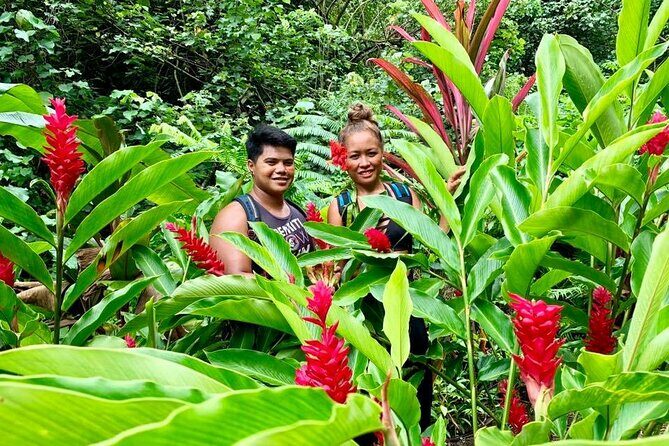 Half-Day Guided Hike to Afareaitu Waterfall - Key Points