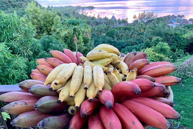 Half-Day Guided Hike to Afareaitu Waterfall - Sources