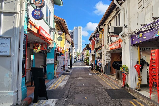 Half-Day Guided Historical Limousine Tour in Singapore - Reviews and Feedback