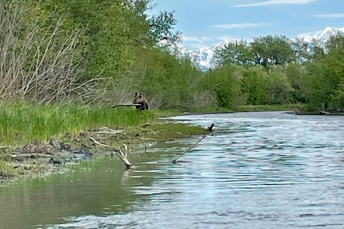 Half-Day Guided Kayak Tour on Knik River - Tour Logistics