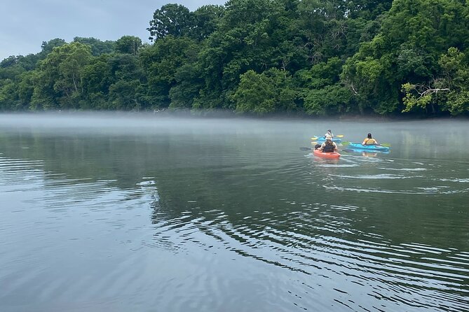 Half-Day Guided Kayaking in the Smoky Mountains of Tallassee - Key Points