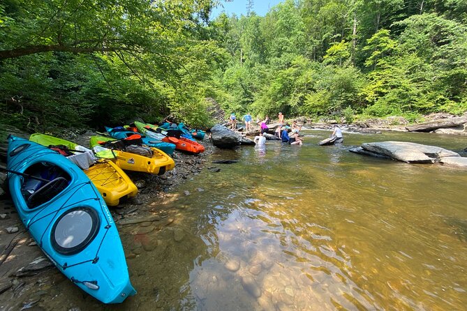 Half-Day Guided Kayaking in the Smoky Mountains of Tallassee - Inclusions and Meeting Point