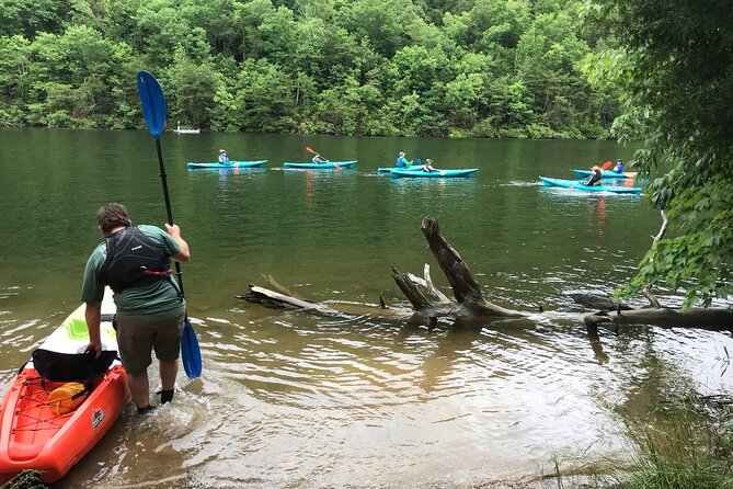 Half-Day Guided Kayaking in the Smoky Mountains of Tallassee - Expectations and Requirements