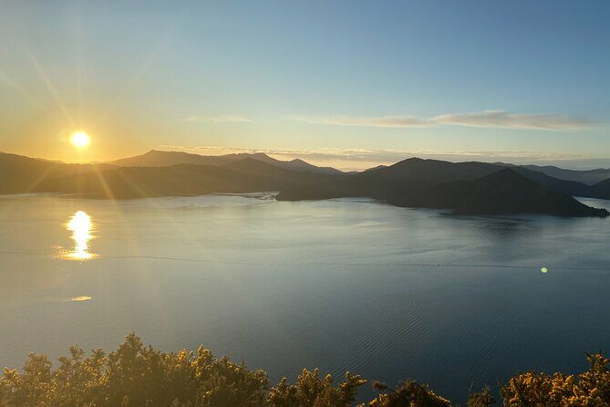 Half-Day Guided Sea Kayak Trip from Picton - Who Should Consider This Tour?