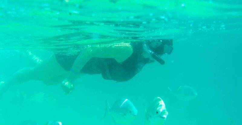 Half Day Guided Snorkel Tour in Los Cabos - Key Points