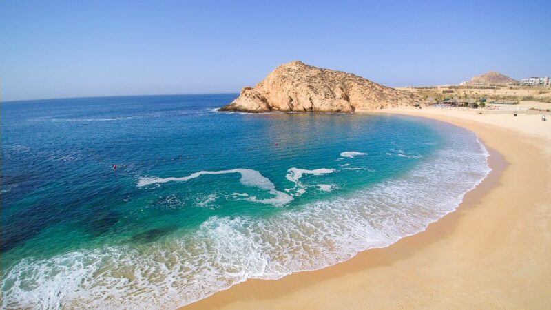 Half Day Guided Snorkel Tour in Los Cabos - Experience Highlights