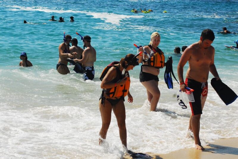 Half Day Guided Snorkel Tour in Los Cabos - What to Bring