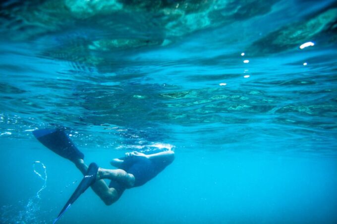 Half Day Guided Snorkel Tour in Los Cabos - Pick-Up Locations