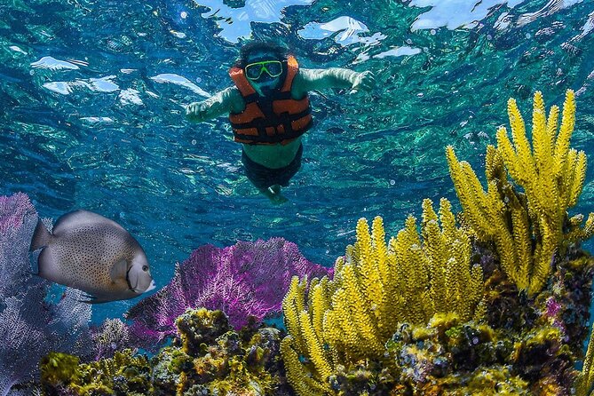 Half Day Guided Snorkeling Adventure in Puerto Morelos - Booking and Cancellation Information