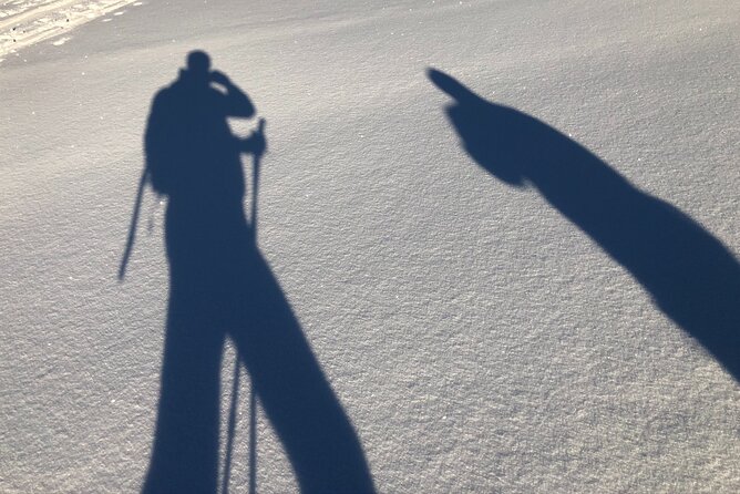 Half-Day Guided Snowshoe Hike in the Allgäu - Meeting Point and Start Time