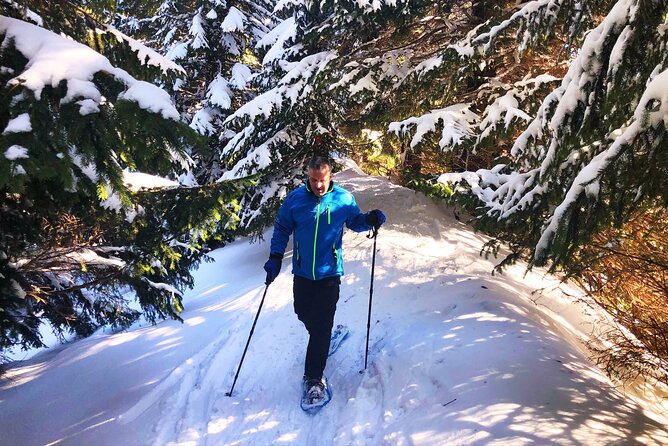 Half-Day Guided Snowshoe Hike in the Allgäu - Health and Fitness Requirements