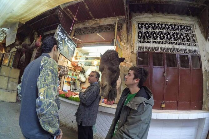 Half-Day Guided Tour in Fes - Experience Highlights