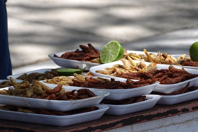 Half-Day Guided Tour of Lake Chapala From Guadalajara - Considerations