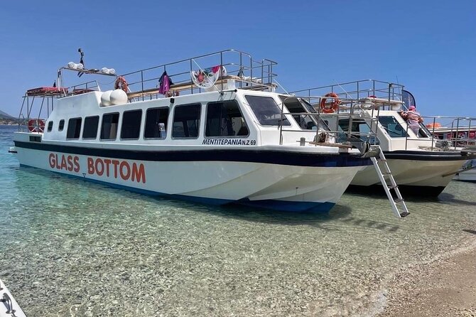 Half-Day Guided Tour Shipwreck and Blue Caves From Laganas - Customer Service Feedback
