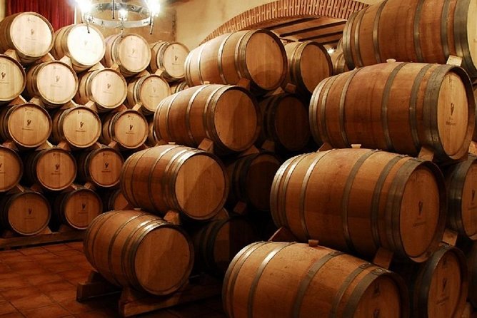 Half-Day Guided Tour to a Winery From Madrid - Tour Operator Information